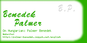 benedek palmer business card